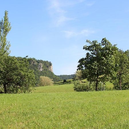 Domaine De Bellevue Gite Du Mont Poupet Marnoz المظهر الخارجي الصورة