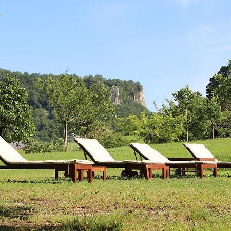 Domaine De Bellevue Gite Du Mont Poupet Marnoz المظهر الخارجي الصورة