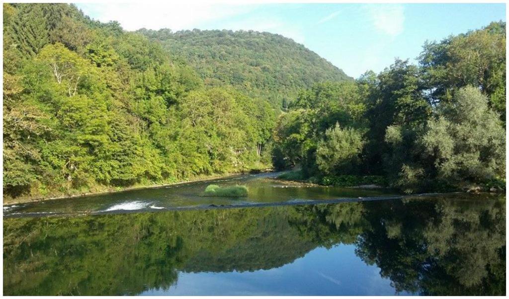Domaine De Bellevue Gite Du Mont Poupet Marnoz المظهر الخارجي الصورة