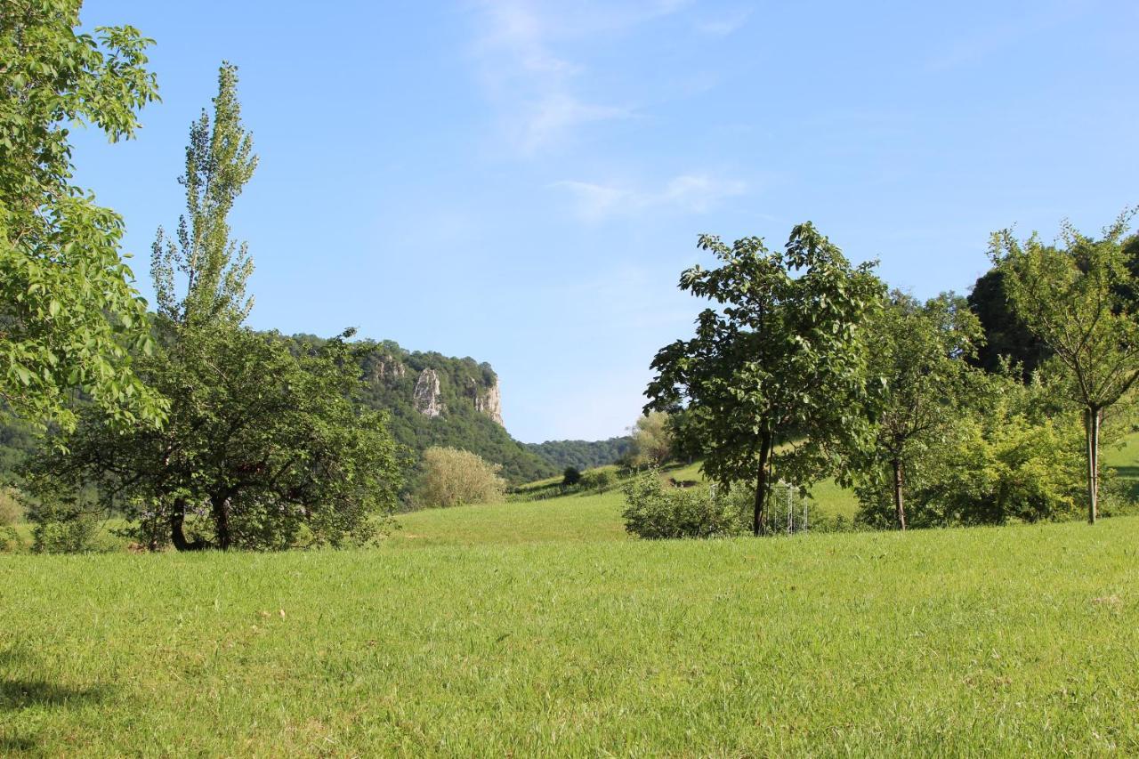 Domaine De Bellevue Gite Du Mont Poupet Marnoz المظهر الخارجي الصورة