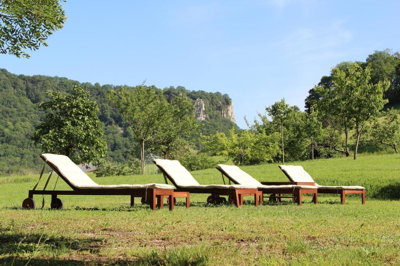 Domaine De Bellevue Gite Du Mont Poupet Marnoz المظهر الخارجي الصورة